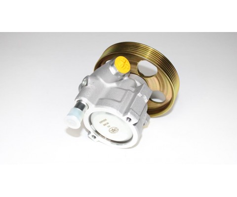 DİREKSYON POMPASI-KASNAKLI R.CLİO-KANGOO 1.9-LAGUNA 1.8-2.0