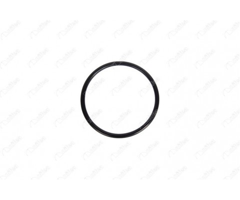 GAZ KELEBEĞİ CONTASI DACIA DUSTER 1.6 16V 4x4