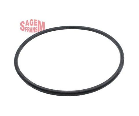 ŞANZUMAN ARKA KAPAK KEÇESİ CONTASI R9-R11-CLIO-MGN