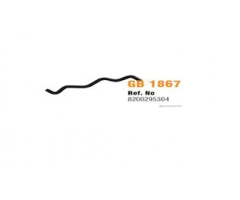 1867 GENLEŞME ŞİŞE HORTUMU MGN II-SCENIC II 2.0 16V