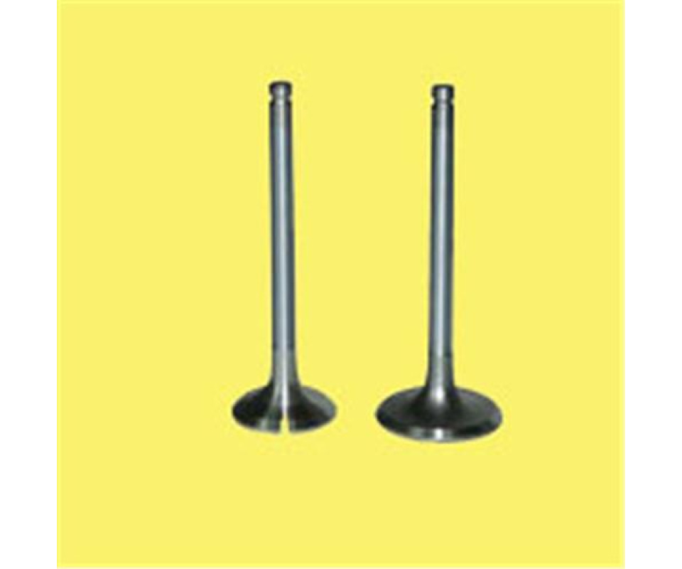 EMME EGZOZ SUBAP TAKIM POLO-GOLF4-5-JETTA-PASSAT-TIGUAN AHW-BBY-BKY-BAG-BLF-BLP-BMY-BCB-CAVA-CAXA