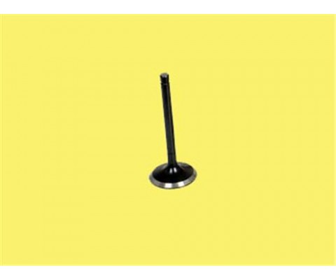 SUBAP EMME EGZOZ RENAULT MEGANE 96> CLIO 98> 1.4 LAGUNA 98> 1.6 16V K4M-K4J IN-8/EX-8 3613-41 / 3614-41 7700107489-7700107490