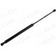 BAGAJ AMORTİSÖRÜ CLIO III BR0/1-CR0/1 05-12 450MM/385N