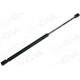 BAGAJ AMORTİSÖRÜ JETTA IV 162 11- 489MM/110N