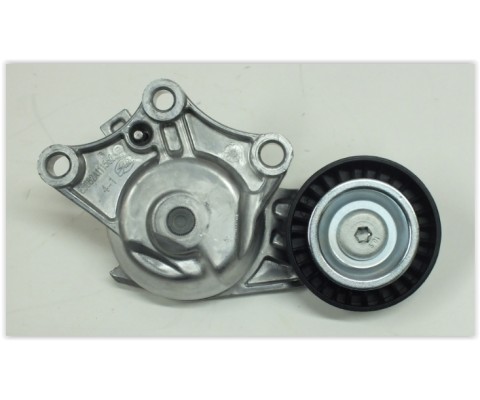 ALTERNATOR GERGI RULMANI P308 C3 DS3 09 > P508 P3008 P5008 C4 C5 BERLINGO DS4 10 > P208 12 > 1.6 HDI