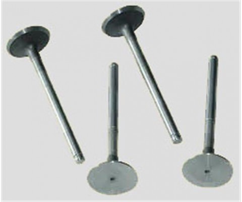 SUBAP EMME EGZOZ KNG-EXP-R19 F8Q-MGN-LGN 1.9 00 >