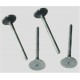 SUBAP EMME EGZOZ KNG-EXP-R19 F8Q-MGN-LGN 1.9 00 >