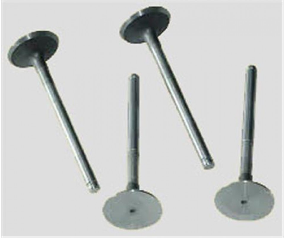 SUBAP EMME EGZOZ KNG-EXP-R19 F8Q-MGN-LGN 1.9 00 >