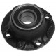 ARKA TEKER PORYASI RULMANLI TEMPRA-DOBLO-PALIO-ALBEA-MAREA ABS SİZ 4 BİJON 30x117x61.7