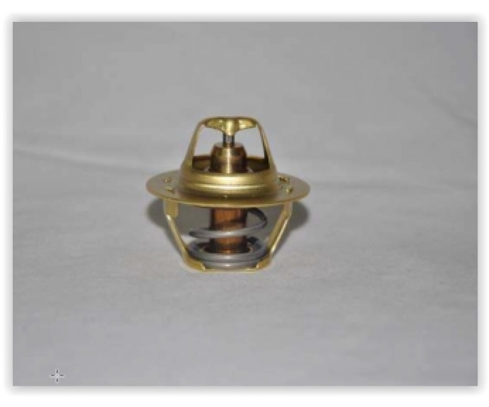TERMOSTAT 89 C MEGANE I-II-R19-CLIO II-KANGOO-LAGUNA I-II 1.4 -1.6-1.8- 1.9 D- 2.0