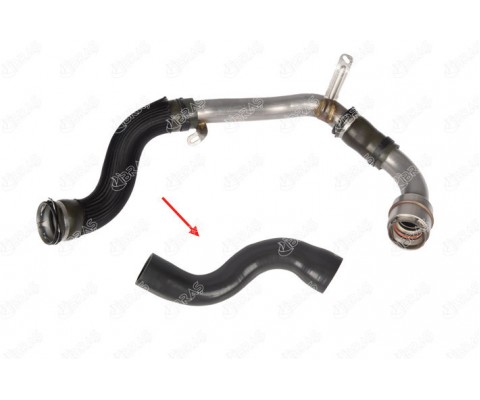 TURBO HORTUMU UZUN METAL BORU HARİÇ MGN III-FLUENCE 1.5 DCİ 110HP 09