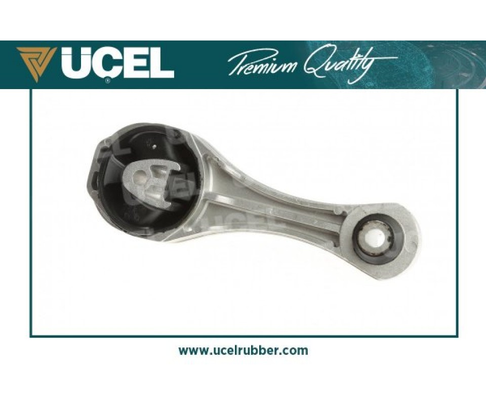 MOTOR TAKOZU ARKA KANGOO III 08> TÜM MOTOR TİPLERİ