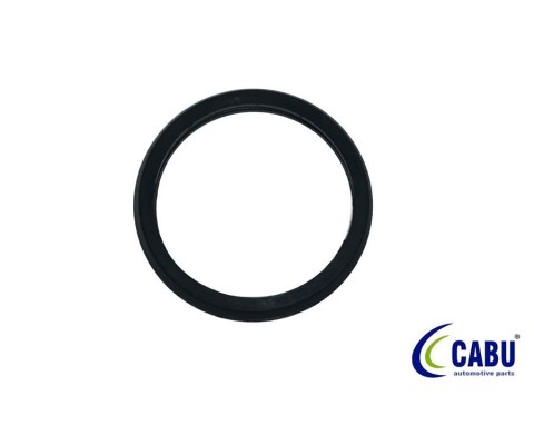 TERMOSTAT CONTASI CONNECT 02>14 1.8 TDCI