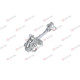 F.ALBEA/PALIO ARKA KAPI GERGİSİ 02-05