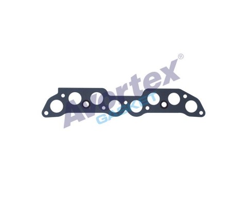 EGZOZ MANİFOLD CONT.SLX TİPO TMPR