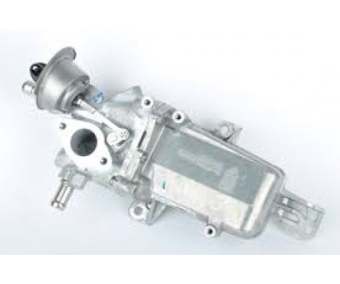EGR SOĞUTUCUSU KOMPLE RENAULT TRAFIC III 15> MEGANE IV 15> TALISMAN 15> SCENIC IV 15> 1.6dCi