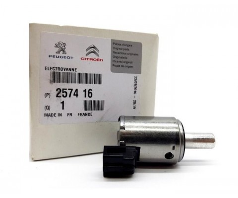 OTOMATİK ŞANZUMAN VALFİ MEGANE-CLIO-KANGOO-207-208-307 406 407 CELYSEE C3 C4 C5 DS3 AL4 ŞANZUMAN