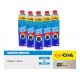RADYATOR İÇİ TEMİZLEME EKSTRA 750 ml.