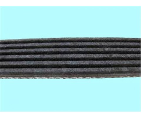 KANALLI KAYIŞ PEUGEOT 206 PARTNER BERL 1.9D 8V 02-06 FIAT SCUDO 1.9D 98-06 AUDI FORD SKODA VOLVO