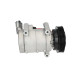 KLİMA KOMPRESÖRÜ MEGANE III 08> FLUENCE 10> SANDERO II 12> LOGAN II 12> LODGY 12> DUSTER 10> 1.5dCi 1.6 16V K4M 12V 6 KANAL 125MM PAG46 YAĞ 160ml