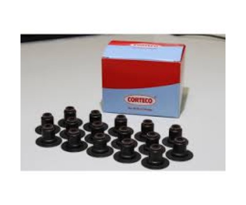 SUBAP LASTİĞİ EXPERT-JUMPY-P206-P306-P307-P308-P407-P406-P607-C4-C5-C8-XSARA-SCUDO 1.8-2.0-2.2 16V