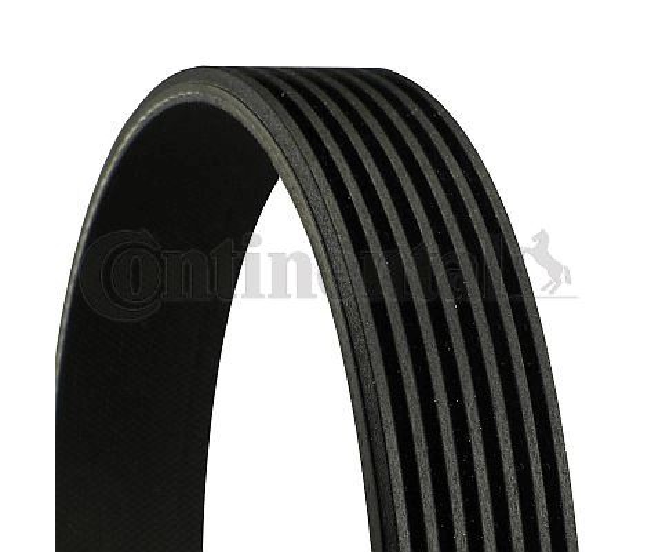 KANALLI KAYIŞ NISSAN LOTIO SPORT MICRA NOTE QASHQAI 1.6 16V 06 > BMW 750İ