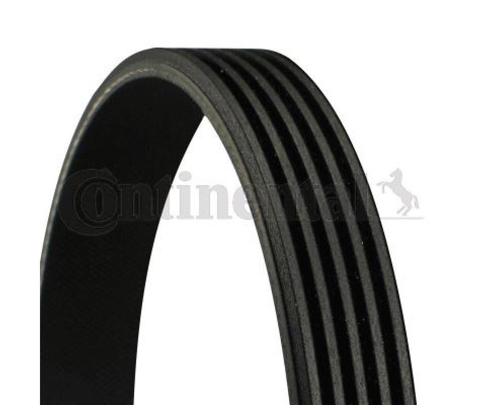 KANALLI KAYIŞ FERRARI 456 MITSUBSUBISHI RENAULT 25 2.7 12V 84-89 2.8 12V 86-92 58391