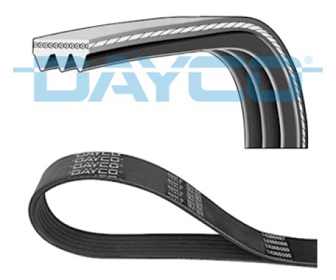 KANALLI KAYIŞ RENAULT SAFRANE 2.0 92-96 HONDA LEXUS TOYOTA 38356