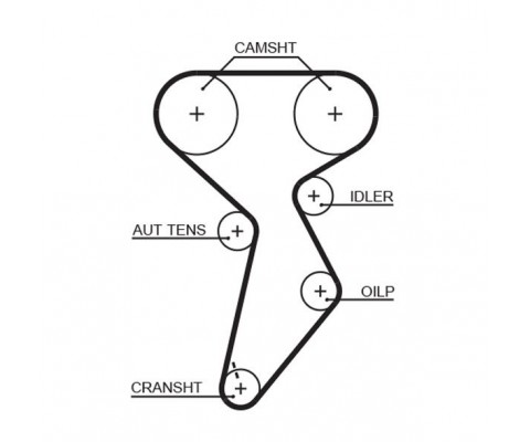 TRİGER KAYIŞI 158x254 BRAVO-BRAVA-MAREA-PALIO 1.6 GD158H8P254 CT879