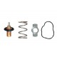 TERMOSTAT 83 C RENAULT SYMBOL III 14> MEGANE IV 16> CLIO IV 12> CAPTUR 13> DUSTER 12> DOKKER 12> ME RCEDES OM607 W176 W246 C117 X117 X156 . NISSAN QASHQAI II 13> JUKE 10>19 1.5dCi
