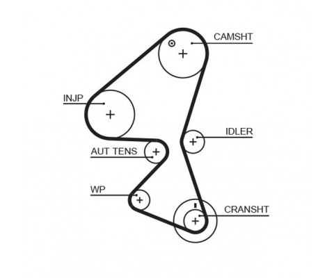 x TRİGER KAYIŞI 137x254 PEUGEOT PARTNER TEPE 206 207 307 308 407 1.6HDI BER C2 C3 C4 C5 JUMPY CT