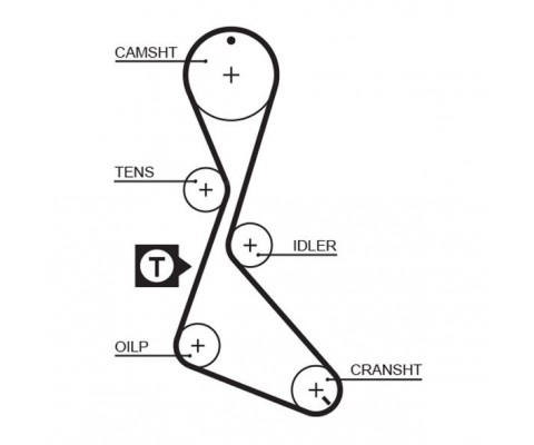 TRİGER KAYIŞI 125x190 FLASH-MNGR-R11-MGN 1.7 GD125H9-5P190 CT684