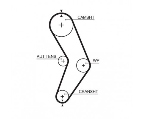 TRİGER KAYIŞI 096x173 RENAULT SANDERO 1.4/1.6 8V 09 > DACIA LOGAN 1.4/1.6 04 > SANDERO 1.4/1.6 8V