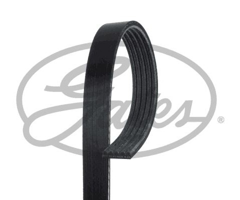 KANALLI V KAYIŞI OPEL OMEGA 2.5DTI 24V 01-03 -LANDROVER 3.0TD6 24V 02-09 - BMW X5 3.0 24V 00-03