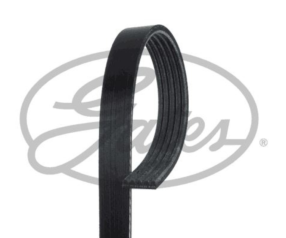 KANALLI KAYIŞ RENAULT MASTER II 06> MEGANE II 02> KANGOO 01> CLIO II 02> OPEL CORSA D 12> CORSA E 15> ASTRA J 13> 5PK1200