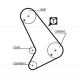 TRİGER KAYIŞI 130x254 130 DİŞ TRANSİT T15 -T12 93-99 CT1054