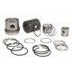 87-306807-04 PİSTON SEGMAN 0.50 86.50 -0.40 VECTRA B-ASTRA F-G-OMEGA B 94-00 2.0 16V C20-X20XE V