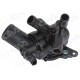 TERMOSTAT 95 RENAULT MEGANE IV 15> KADJAR 15> SCENIC IV 15> 1.2 TCE H5F