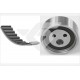 EKSANTRİK GERGİ KİTİ RENAULT CLIO II 01>KANGOO 97>MEGANE 96> DACIA LOGAN 04>SANDERO 08> SOLENZA 04> 1.4-1.6 E7J-K7J-K4M 096x170