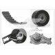 DEVİRDAİMLİ EKSANTRİK GERGİ KİTİ 141 DİŞ P207-P208-P301-P308-P508-P2008-P3008-P5008 08> PARTNER-BE RLINGO-RIFTER-JUMPY-C5-C4-DS4-C3-DS3-DS5-C-ELYSEE 1.6 HDI DV6C DV6DTED- FOCUS III 1.6 TDCİ 11>COURİE
