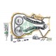 EKSANTRİK ZİNCİR SETİ GOLF5/6-JETTA-PASSAT-SCIROCCO-A3-LEON 1.6 FSI BLF - 1.4 TSI CAXA-BMY-BLG