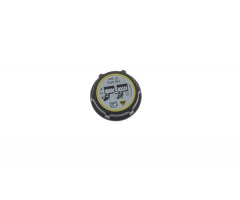 YEDEK SU DEPO KAPAGI FREELANDER 2 L359 R.R EVOQUE L538 L551 JAGUAR E-PACE X540 FORD B-MAX C-MAX F IESTA FOCUS GALAXY KUGA MONDEO VOLVO S40 S60 S80 S90 C70 C30