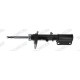 AMORTISOR ON SAG GAZLI BMW X5 E53 00>06
