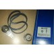 EKSANTRİK GERGİ KİTİ LAGUNA 1.8-2.0-MEGANE 2.0-1.9TD-VOLVO 340-360 1.7 / 440-460 1.6D-1.7-2.0-1.9TD 480 1.8-1.8T-2.0 / S40/V40 1.9TD