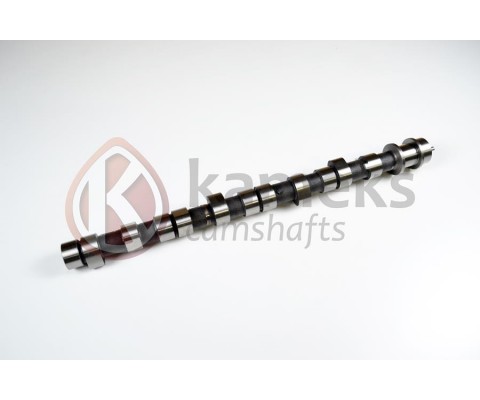 EKSANTRİK MİLİ HYUNDAI H100 STAREX 2.5L D4BB D4BF 97-> / KIA K2500 2.5L D4BH 03-> / MITSUBISHI L300. L200 2.5L 4D56 K64T K74T 96-> / PAJERO 2.5L 4D56 94-> DÖKÜM