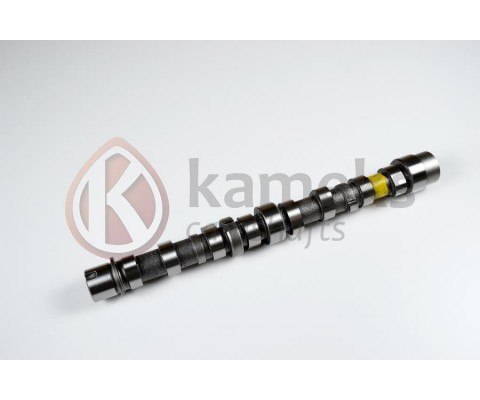 EKSANTRİK MİLİ EMME BIPPER 10> NEMO 10>DOBLO 10> EGEA 16> PUNTO 12> 500 L 12> 95BG 1.3 JTD EURO5 DÖKÜM