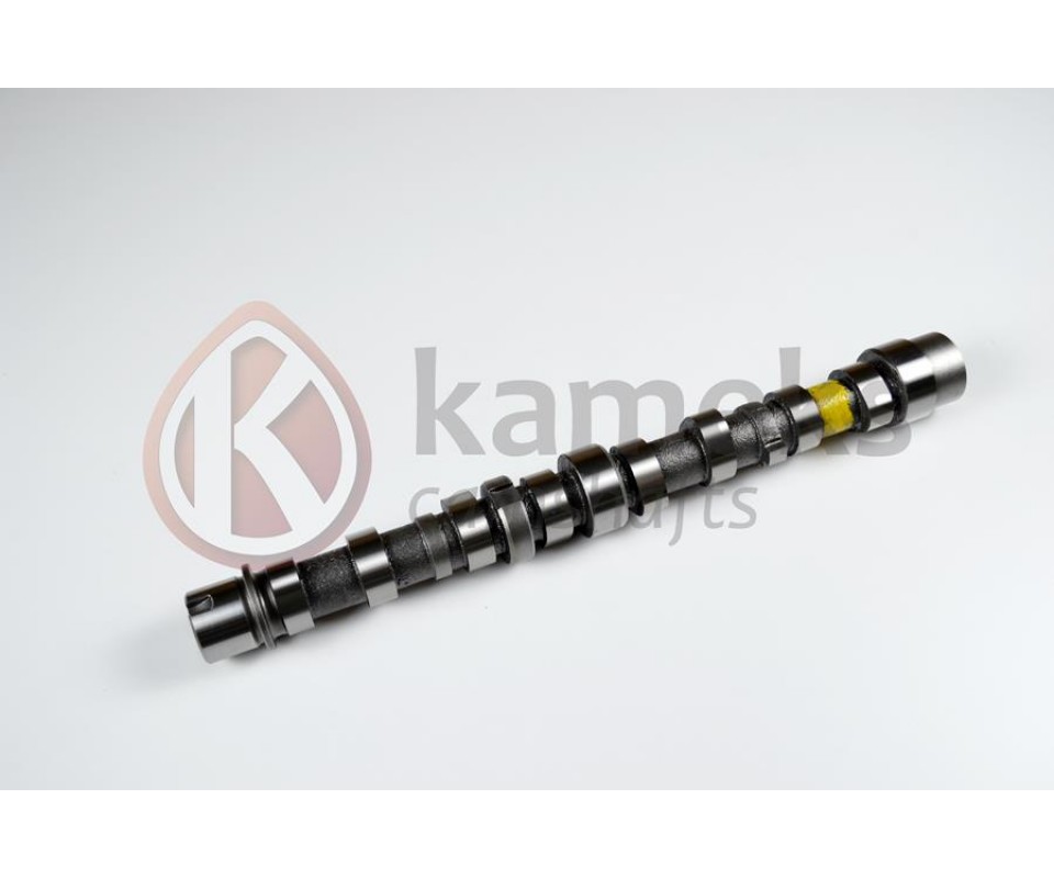 EKSANTRİK MİLİ EMME BIPPER 10> NEMO 10>DOBLO 10> EGEA 16> PUNTO 12> 500 L 12> 95BG 1.3 JTD EURO5 DÖKÜM