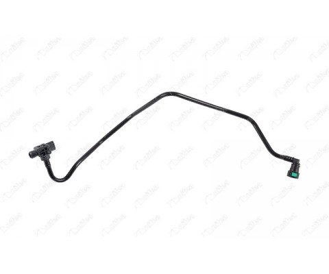 WESTINGHOUSE BORUSU RENAULT MEGANE IV 16> 1.2 TCe H5F