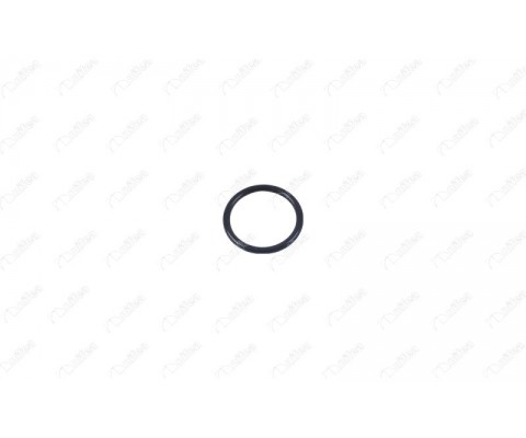 TERMOSTAT GÖVDE CONTASI ORİNGİ P207-P208-P308-P508-P2008-P3008-P5008-RCZ-C4-C4 GRAND-C5-C5 III-C5 AIRCROSS-DS3-DS4-DS5-DS 7 CROSSBACK-DS9 X2-GRANDLAND-CROSSLAND 1.6 THP-VTi 1.4 VTi