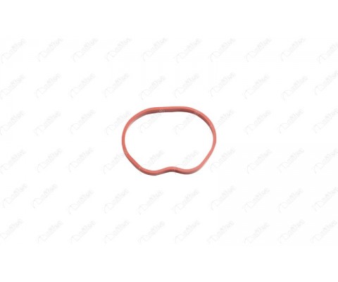 MANİFOLD CONTASI EMME FORD-VOLVO FOCUS-FIESTA-FUSION-C30-S40-V50 01> 1.25-1.4-1.6 ZETEC